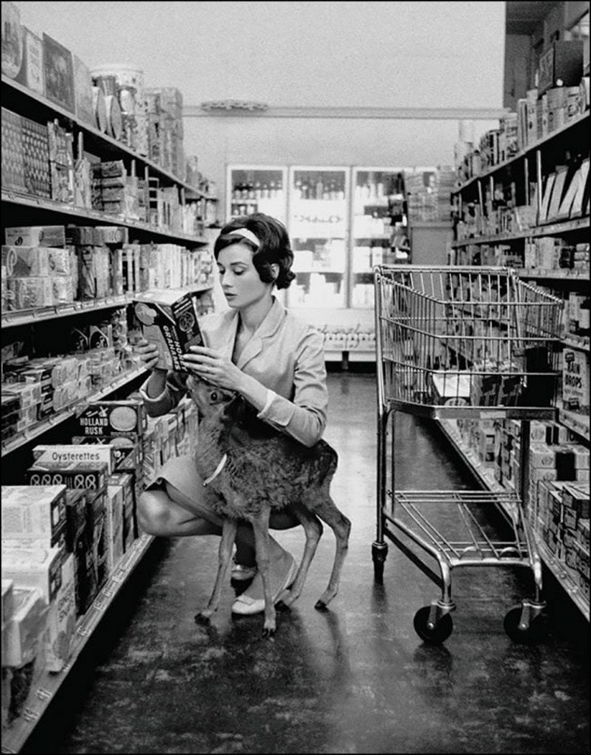 Одри Хепбърн на пазар с домашния си любимец еленче, 1958, puls-planeta.ru